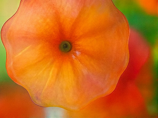 베타 지역 스테이지 시작