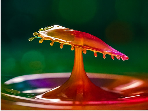 창의력 넘치는 모험 세계